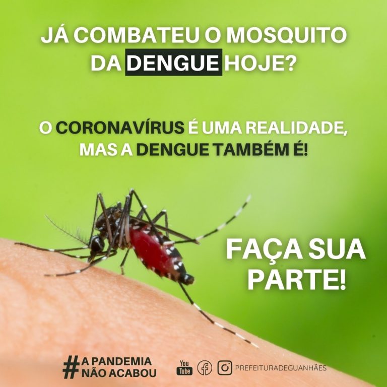 Juntos contra a dengue!