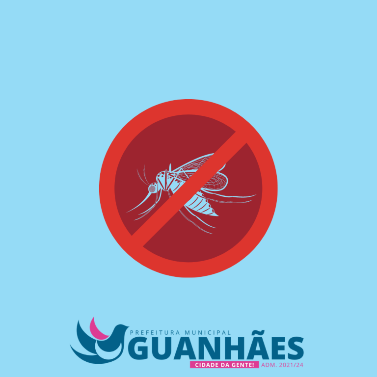 Alerta sobre período crítico para a transmissão das doenças causadas pelo Aedes aegypti